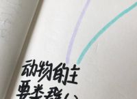 关于最正确答案打一动物数字图的信息