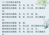 什么生肖冲龙、12生肖龙冲什么