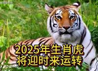 今期生肖决定虎打一个数字、今期生肖最简单代表什么数字