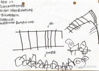 梯子打一生肖、梯子打一生肖或数字