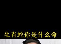蛇转世打一生肖、蛇转世是指什么生肖