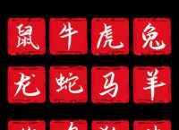 今期生肖无公理猜一生肖、今期生肖无公理猜一生肖是什么
