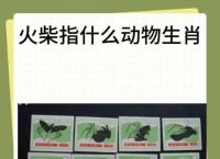 关于“四面八方有福音，送君一程十八里”打一准确动物生肖的信息