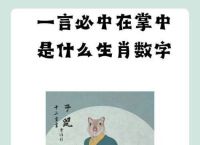 关于今期零尾要看好打一生肖数字的信息