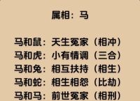 女属马和什么生肖最旺、女属马和属什么的最合适