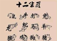 獰打一生肖、狞是指什么生肖