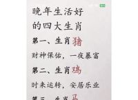 短暂此生代表什么生肖的简单介绍