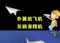 包含纸飞君破风行者纸飞机的词条