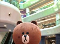 line是什么意思、line是什么意思中文翻译