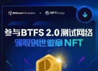 关于BitTorrentFileSystem的信息