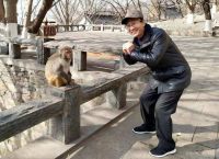 花果山电报猴未消音mp3[花果山电报猴无消音视频]