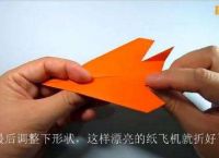 纸飞机缓存的视频在哪里[纸飞机缓存的视频在哪里可以看]
