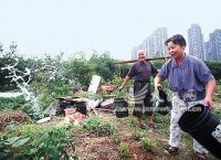 关于电报员周大爷简介的信息