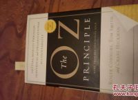 successorprinciple的简单介绍