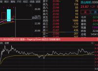 皇氏集团东方财富网股吧[002329皇氏集团重组]