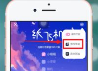 纸飞机中文版app下载[纸飞机中文版app下载教程]