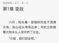 纸飞机txt完整+番外txt下载百度云的简单介绍