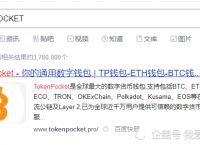 包含tokenpocket钱包下载官网源码的词条