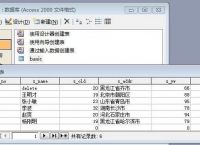 关于allowaccess是什么意思的信息