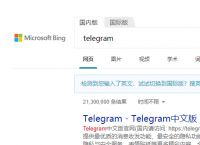 关于telegarm中文版下载地址的信息