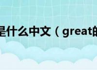 solitairecollection是什么意思[solitairecollection怎么设置中文]