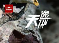 telemate中文版下载[steelmate汽车遥控器]