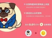波场币智能合约公链查询地址[如何查询波场的智能合约开源代码]