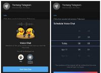 关于Telegram社交软件的信息