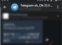 telegram如何打开成人设置的简单介绍
