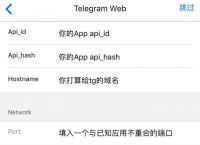 Telegram登陆参数[Telegram登陆参数不对]