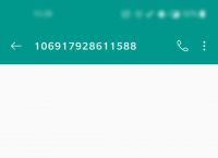 telegram为什么无法短信验证的简单介绍