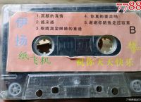 纸飞机是啥歌[纸飞机是谁的歌]