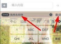 line中英翻译功能在哪里[line的中英翻译通怎么添加]