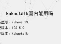 包含kakaotalk需要梯子吗的词条