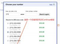 包含googlevoice网页入口的词条