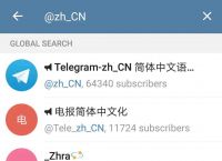 飞机telegraph下载[Telegram纸飞机电脑版]