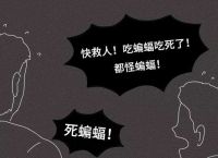 关于蝙蝠聊天到底安全不安全的信息