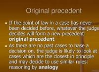 [predecent翻译]precedent中文翻译