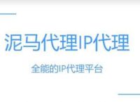 [免费代理ip网站]国外免费代理ip网站
