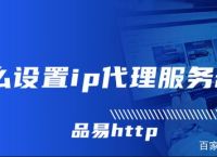 [代理ip怎么用]代理IP怎么使用