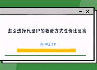 [飞机代理ip分享]纸飞机免费代理ip