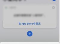 [ios飞机软件如何调中文版]ios飞机软件如何调中文版本