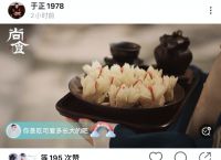 [为什么中国禁止用ins]为什么中国禁止用ins知乎