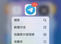[飞机聊天软件官方下载安装]飞机聊天软件官方下载安装苹果