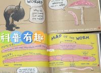 [holes的意思]holes的意思中文