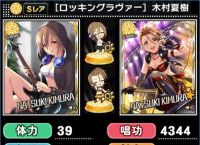 [ssr]ssr是什么意思