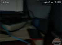 关于蝙蝠-隐私聊天里边人都是干嘛的的信息