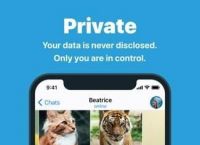 纸飞机app官网手机版[纸飞机app中文版下载v1]