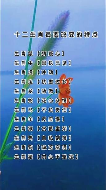 今期生肖旺东西最佳动物、今期生肖旺东西,是双又逢旺木春