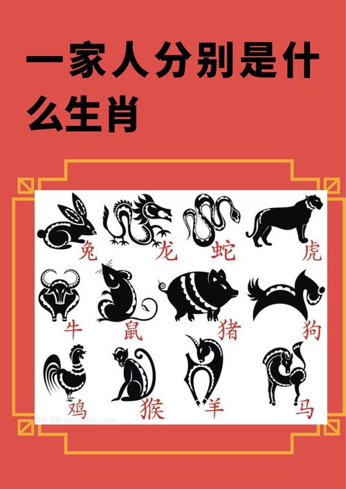 面面厮觑打一生肖、面面相觑是什么生肖